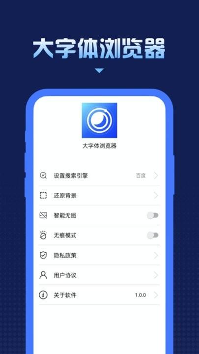大字体浏览器官方版下载,大字体浏览器,浏览器app