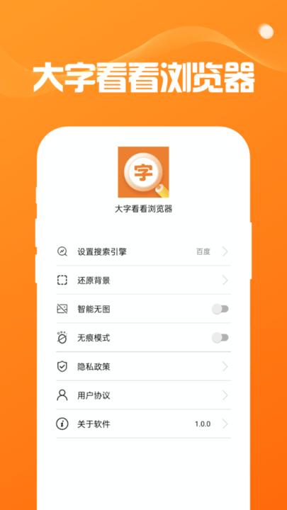 大字看看浏览器最新版下载,大字看看浏览器,浏览器app