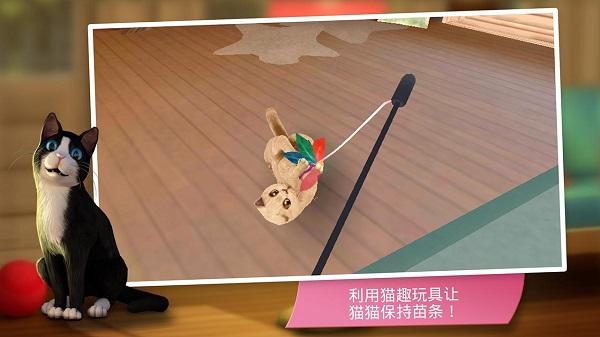咪咪猫舍游戏(暂未上线),咪咪猫舍,模拟游戏,猫咪游戏