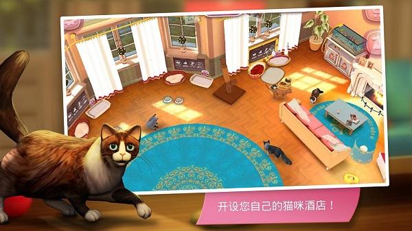 咪咪猫舍游戏(暂未上线),咪咪猫舍,模拟游戏,猫咪游戏
