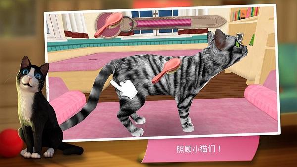 咪咪猫舍游戏(暂未上线),咪咪猫舍,模拟游戏,猫咪游戏