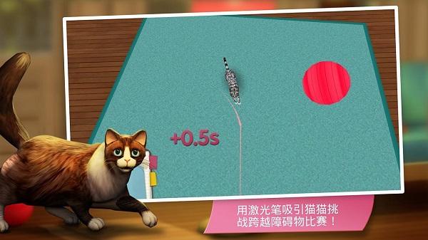 咪咪猫舍游戏(暂未上线),咪咪猫舍,模拟游戏,猫咪游戏